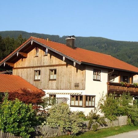 Apartment Andrea - Chiemgau Karte Inzell Exterior foto