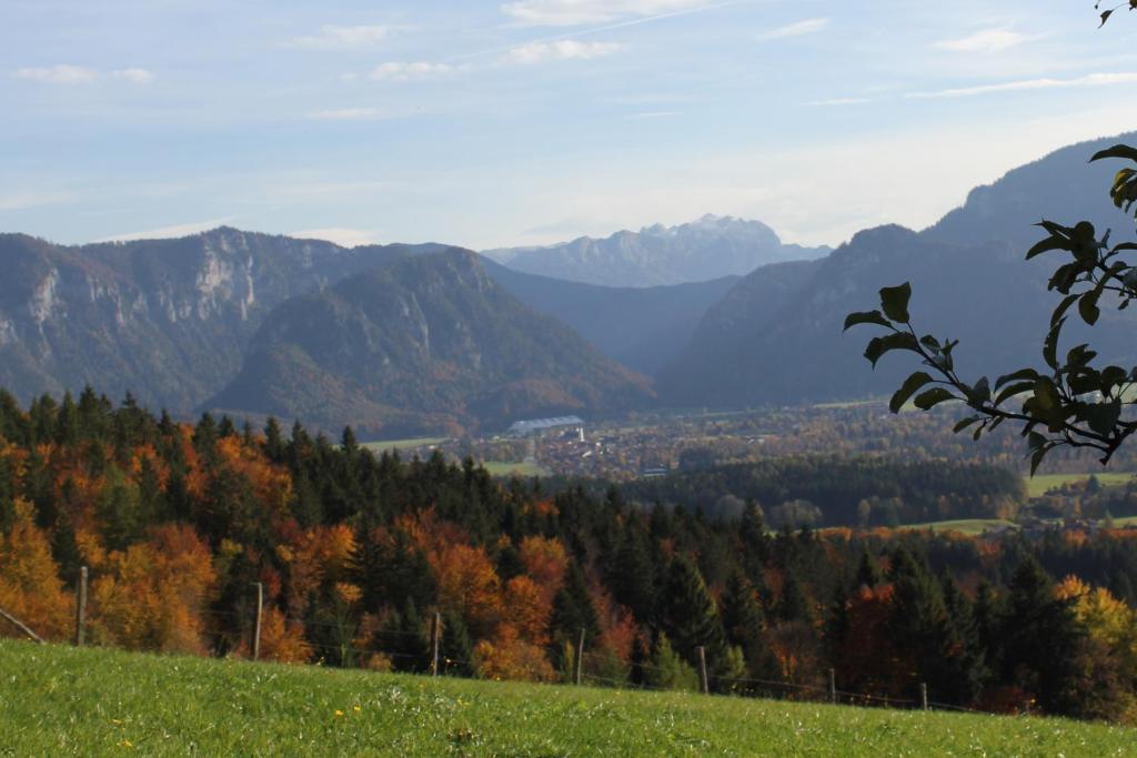 Apartment Andrea - Chiemgau Karte Inzell Exterior foto