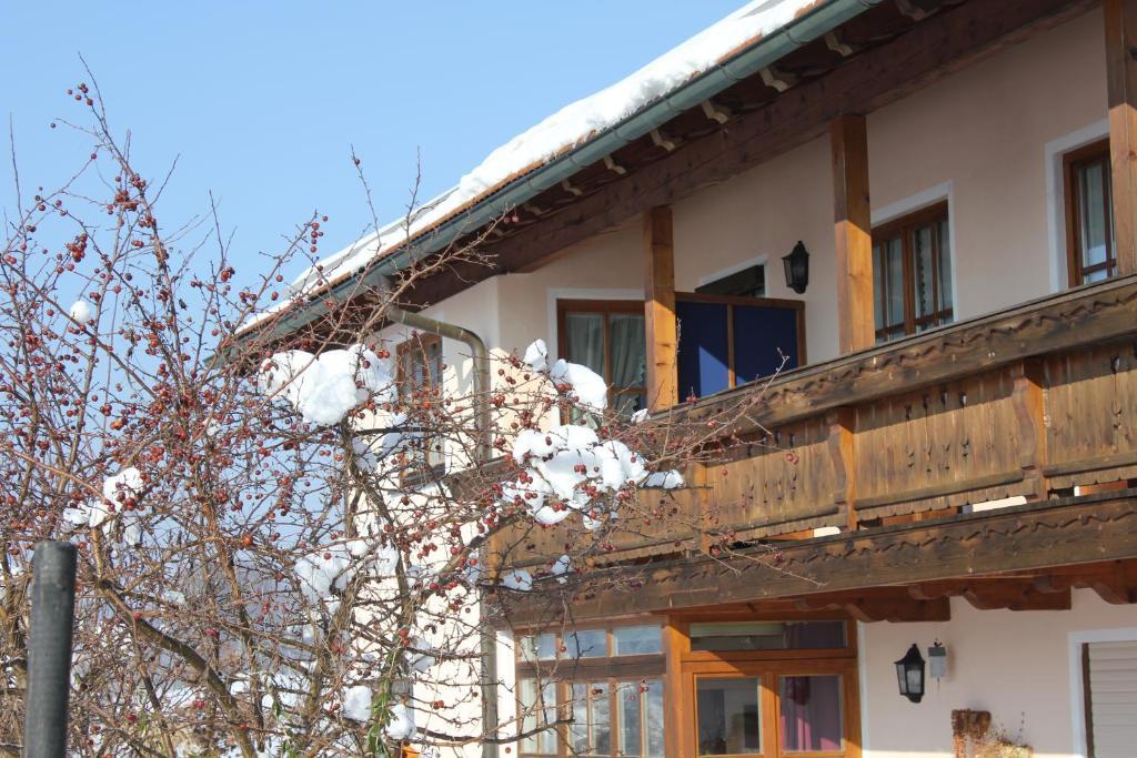 Apartment Andrea - Chiemgau Karte Inzell Exterior foto