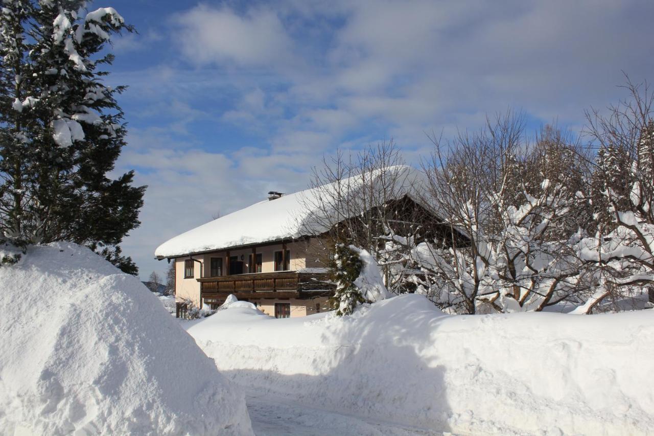 Apartment Andrea - Chiemgau Karte Inzell Exterior foto